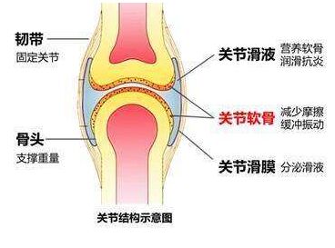 超声骨密度仪乳腺癌患者需定期检测骨密度